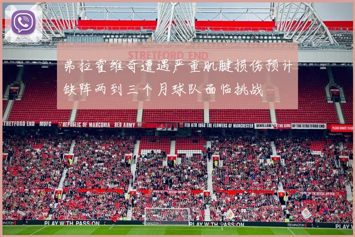 弗拉霍维奇遭遇严重肌腱损伤预计缺阵两到三个月球队面临挑战