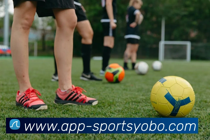 yobo体育发展历程