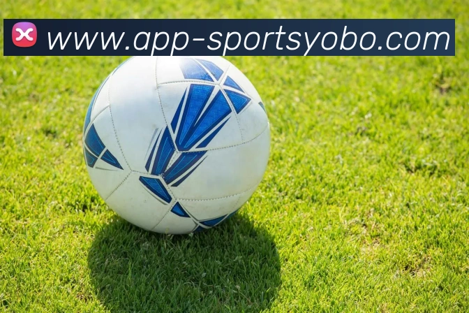 张佳玮分析卢指导全锋空间阵快船应为小卡引入年轻球员提升竞争力